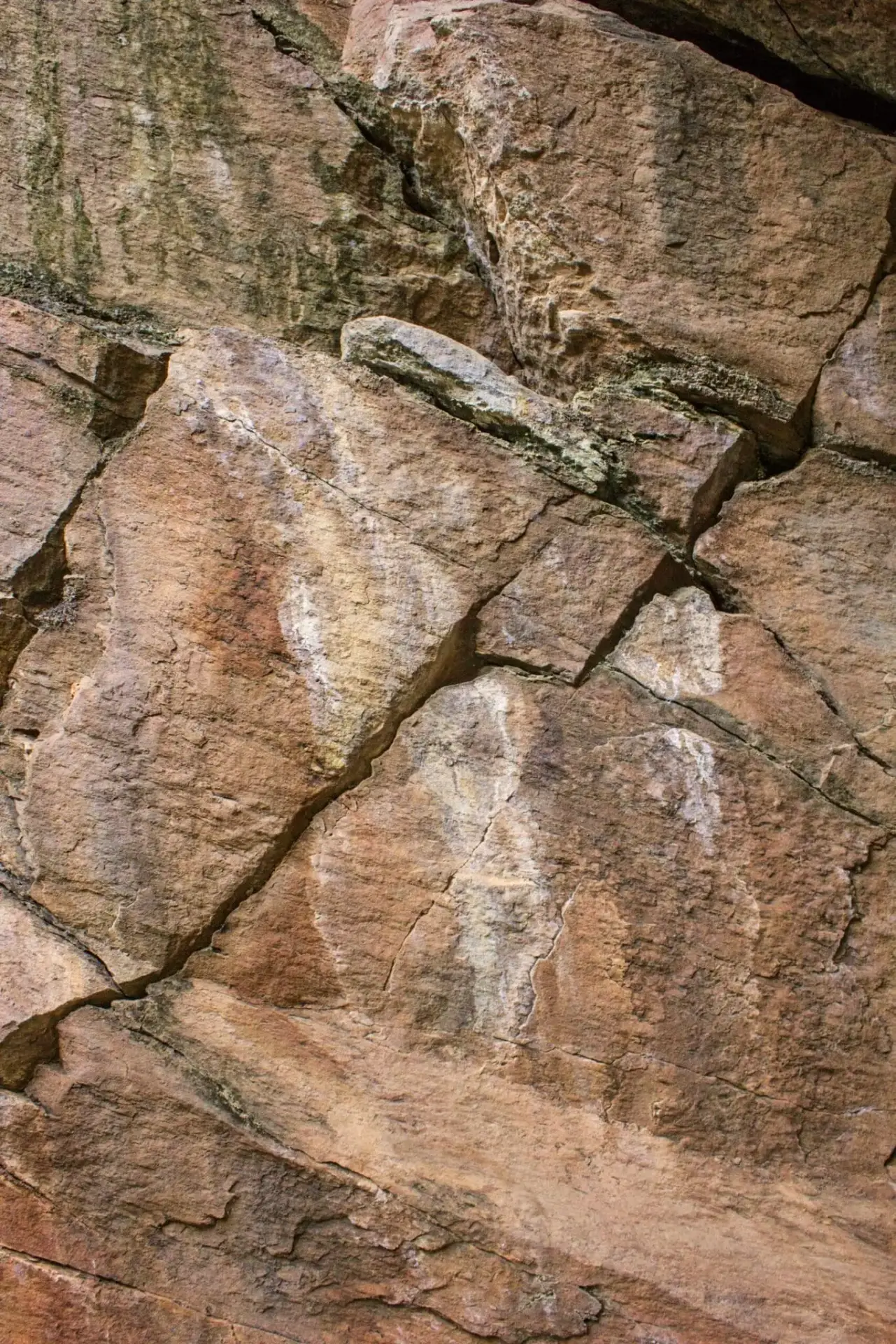 UNCAP Group x House & Leisure Artwork 4